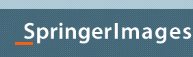 Springer Images