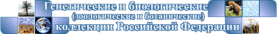    (  )   