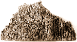 L. lign, L. boreal 