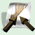 Main Page