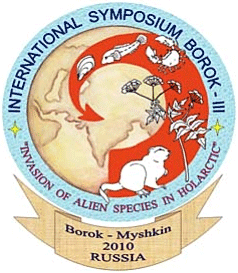 BOROK – 3