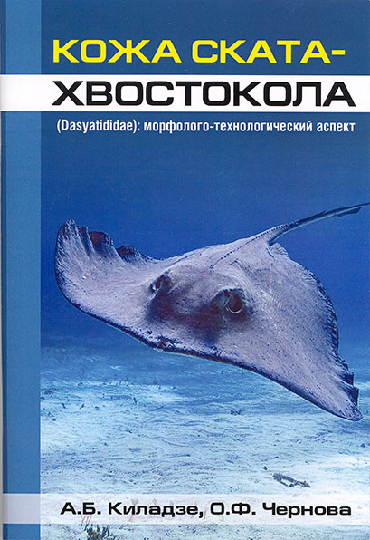 - (Dasyatididae): - 