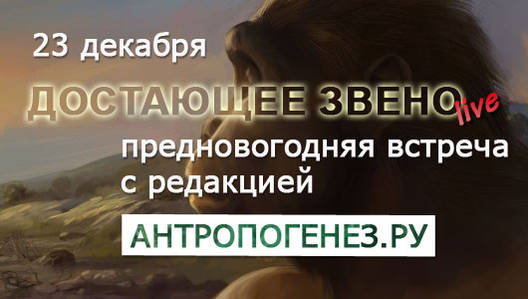   2-   