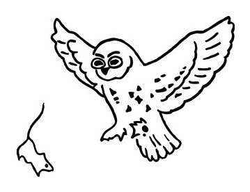 Behavior of animals