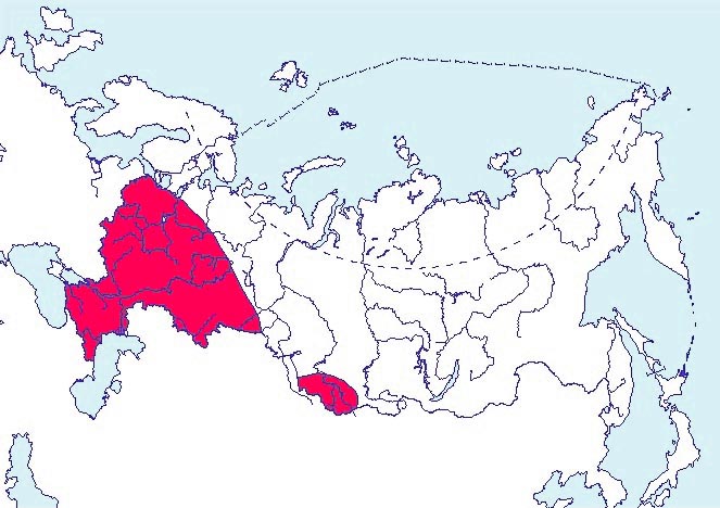  ����� - ������� - Xylocopa valga Gerstaecker, 1872