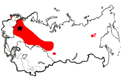  ˸