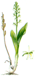  ˸