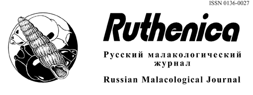 Ruthenica,   