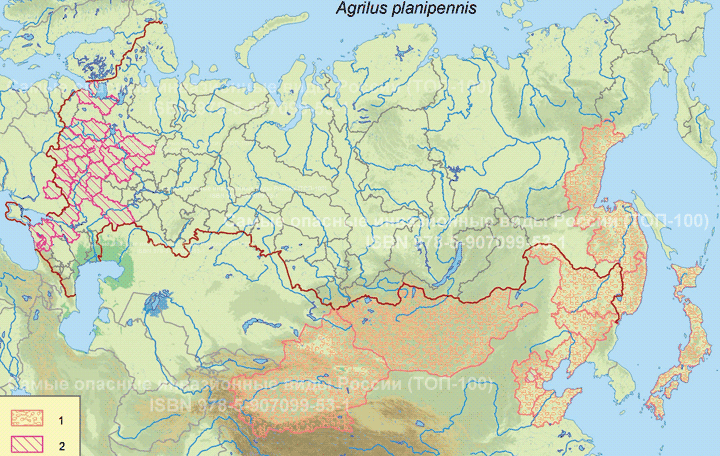 �������� ���������� ��������� ������