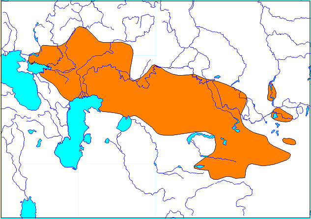 Lagurus lagurus Pallas, 1773