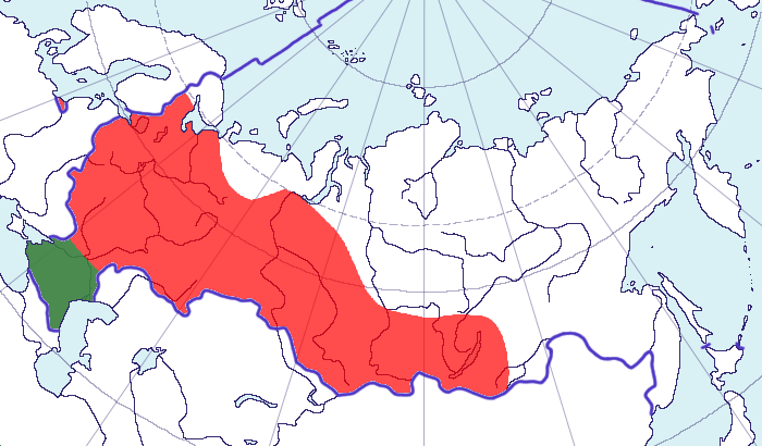  Sturnus vulgaris Linnaeus, 1758